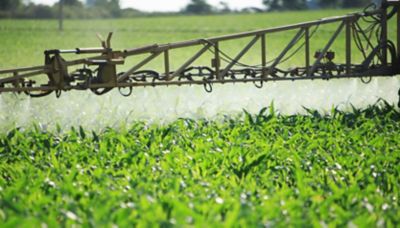 Zoomed in sprayer arm spraying corn