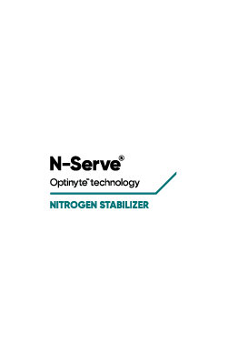 N-Serve logo