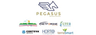 progetto Pegasus