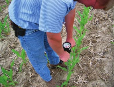 esempio di compattamento del suolo