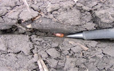 come valutare se il suolo è pronto alla semina