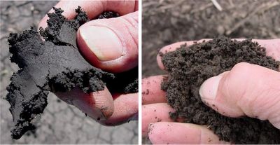 come valutare se il suolo è pronto alla semina