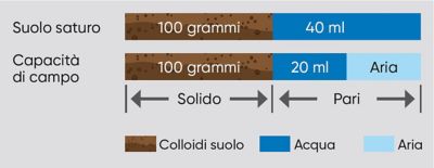 dati ed effetti del ristagno idrico primaverile sul mais