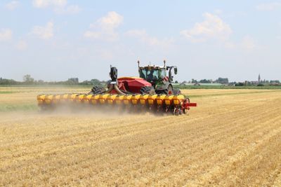 semina della soia in secondo raccolto