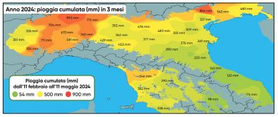 i fattori ambientali che influiscono sull'altezza di una pianta di mais