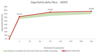 Esempio di report per la digerbilità della fibra di un campione di Silomais