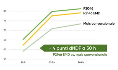 dati analitici sui mais BMR