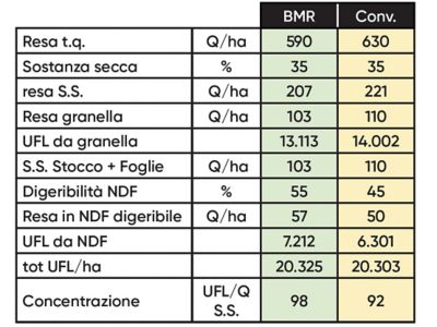 dati analitici sui mais BMR