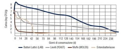Identificazione e conteggio dei principali microrganismi responsabili del processo di conservazione e della qualità degli insilati.