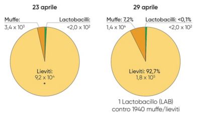 grafico con i due scenari previsionali