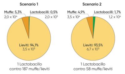 grafici relativi all'andamento della popolazione microbica