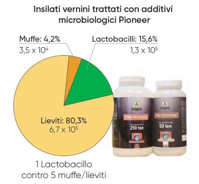 grafici con dati analitici del laboratorio