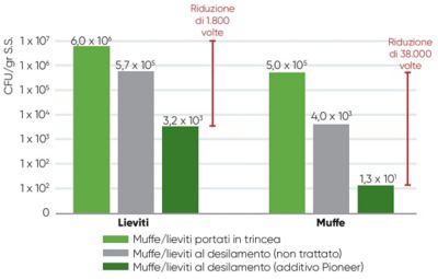 grafici con i dati del laboratorio