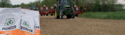 Sacchi Pioneer alla semina
