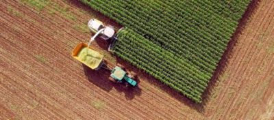   11A44 - SPECJALISTA ZAKISZANIA SUROWCA PRZEZNACZONEGO DO BGOGAZOWNI