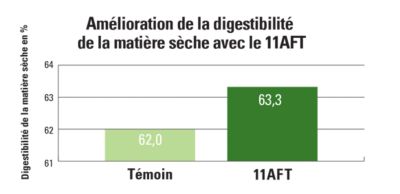 11AFT Dry Matter Digestibility Improvement Chart