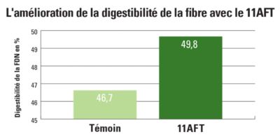 11AFT Fiber Digestibility Improvement Chart