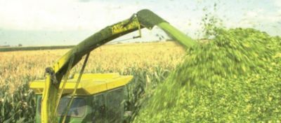 11CFT - specjalista do kiszonek z kukurydzy