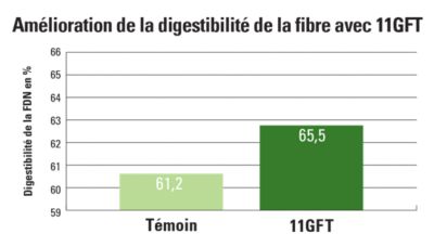11GFT carte de l’amélioration de la digestibilité de la fibre