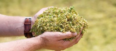 11H50 - specjalista do zakiszania lucerny