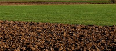 terreno da campionare