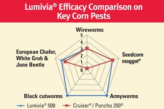 Lumivia efficacy comparison on corn pests