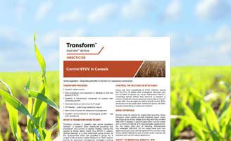 Transform Insecticide Transform® with Isoclast® active | Corteva Agriscience