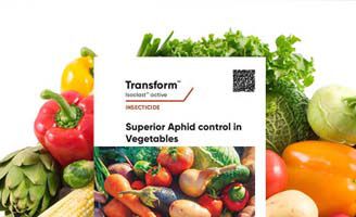 Transform Insecticide Transform® with Isoclast® active | Corteva Agriscience