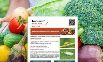 Transform Insecticide Transform® with Isoclast® active | Corteva Agriscience