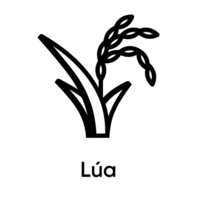 Lúa
