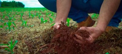 Adubação de sistema