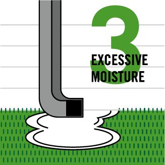 a conductive condition for termites