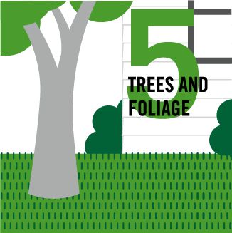 a conductive condition for termites
