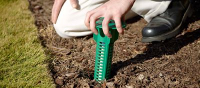 Termite Bait Stations & Traps: Do They Work?