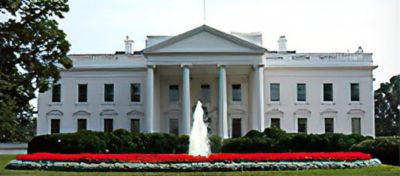 Picture of the White House