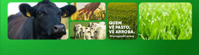 banner linha pastagem