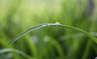 Primer plano de gota de agua posada sobre hoja