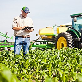 Image of farmer checking field.