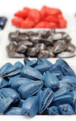 Treated Seeds of various colors