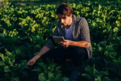 IMG_Farmer_inspecting_plants_GL