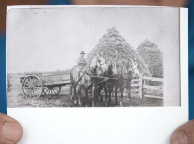 Black and White image of the Feltz family farm