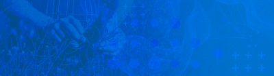 blue background flex+