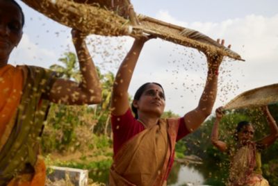 Woman farmer threshing chaff 