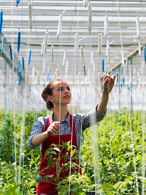 Lady in the greenhouse