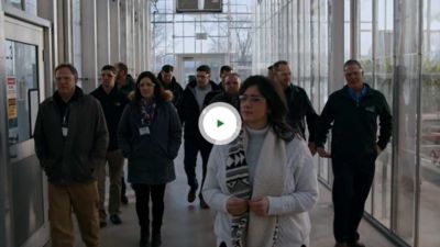 Hear from Pioneer reps