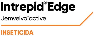 logo Intrepid Edge 