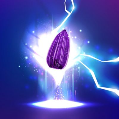 LumiGEN: fai splendere il tuo girasole