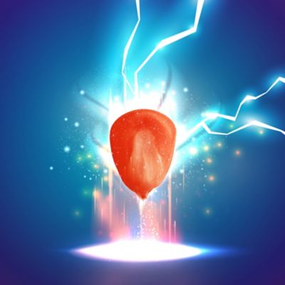 LumiGEN: potenzia il tuo mais