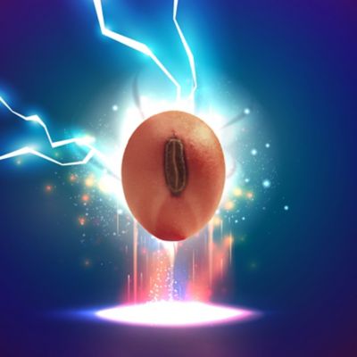 LumiGEN: attiva la tua soia