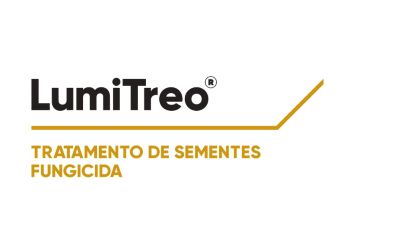 Logo LumiTreo